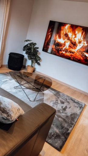 Appartement complètement rénové